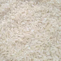 برنج کامفیروزی نو بشرط|خوردنی و آشامیدنی|شیراز, طلاب|دیوار
