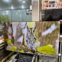 فروش ویژه نقدی تلویزیون LGQNED90 غول 2026