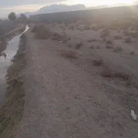 هزار متر زمین باغی