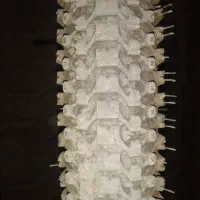 دوچرخه اساک سایز ۲۶|دوچرخه، اسکیت، اسکوتر|شیروان (خراسان), |دیوار