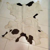 چرم طبیعی تبریز|روفرشی|کرمانشاه, |دیوار