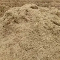 کاه جو
