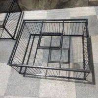 تله دام کفتر کبوتر کبک بلدرچین و... کاملا اتوماتیک