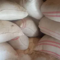 کاه گندم|خدمات باغبانی و درختکاری|بیرانوند, |دیوار