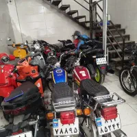 نمایشگاه موتور سیکلت قاسمی نژاد|موتورسیکلت|بندرعباس, |دیوار