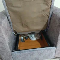 مبل راحتی تخت خواب شو،اسکلت کاملا فلزی باکس دار|مبلمان خانگی و میز عسلی|اهواز, کمپلو شمالی|دیوار