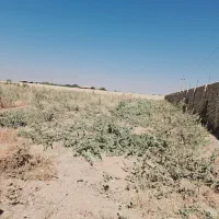 خراطی چوب پالت خدماته پیوندضایعات تیرخریدارم صنوبر|خدمات باغبانی و درختکاری|کمیجان, |دیوار