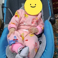 کریر و پشه بند