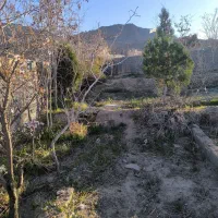 زمین فروشی چهکند