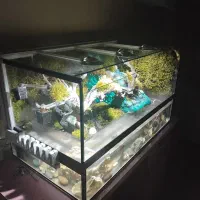 پالوداریوم آبشار