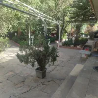 کارگر ساده آقا برای رستوران