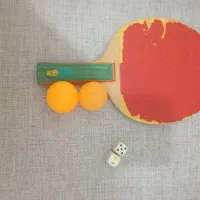 شطرنج ،برج هیجان، حلقه، راکت پینگپنگ، مارپله|کلکسیون و سرگرمی|بهارستان, |دیوار