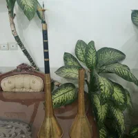 کرنا ترکی