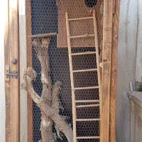 قفس مناسب برای طوطی سانان و سنجاب