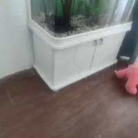 اکواریوم95/150|ماهی|تهران, جنتآباد مرکزی|دیوار