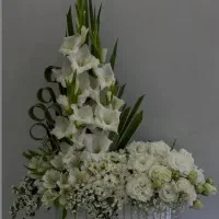 گل آرایی و باکس گل ارسال رایگان|گل و گیاه طبیعی|شیراز, لاله|دیوار