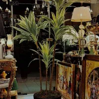 درختچه وارداتی ارتفاع ۱۹۰|گل مصنوعی|تبریز, |دیوار