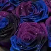 گل ربانی جاودان