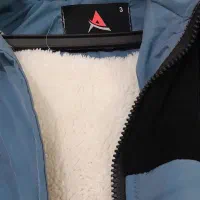 پالتو|لباس|بندر ماهشهر, |دیوار