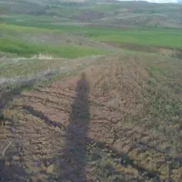 زمین کشاورزی|فروش دفتر صنعتی، کشاورزی، تجاری|خلخال, |دیوار