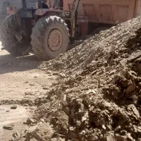 خرید وفروش کودحیوانی مرغ گاو گوسفند وحمل کودحیوانی|خدمات باغبانی و درختکاری|نیشابور, فردوسی جنوبی|دیوار