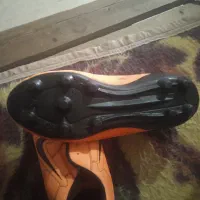 کفش|کیف، کفش، کمربند|شوشتر, |دیوار