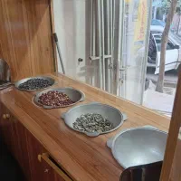 فروش لوازم تخمه داغی و امتیاز جا افتادن در محل|فروشگاه و مغازه|گنبد کاووس, |دیوار