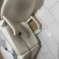 صندلی برقی دوموتره