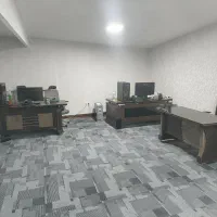 طراح و کاراموز کتیا راینو پاورشیپ