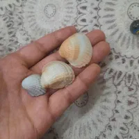 تعدادی کارت و تیله به فروش میرسد|اسباب‌‌بازی|پارس‌آباد, |دیوار