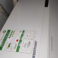 دوتیکه وسپنت 24هزار