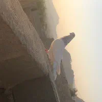 کفتر|پرنده|ایذه, |دیوار