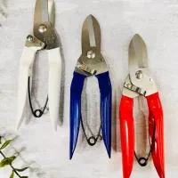 قیچی قند قند شکن|ابزارآلات|اصفهان, جنیران (لادان)|دیوار