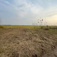 زمین۲۳۵مترمسکونی/باپروانه ساخت/با ۲۲۰۰مترشالیزار|فروش زمین و ملک کلنگی|آستانه اشرفیه, |دیوار