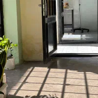 استخدام منشی کلینیک دامپزشکی