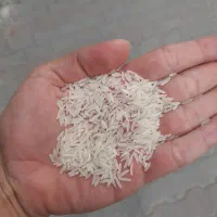 برنج فجر سوزنی سورت شده (گرگان)|خوردنی و آشامیدنی|اصفهان, آزادان|دیوار