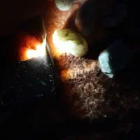 تعدای سنگ برای فروش|جواهرات|بندر انزلی, پرستار|دیوار