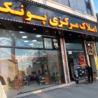 واحد ورودی مجزا/پونک