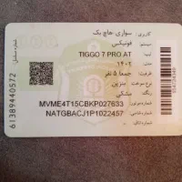 پیدا شدن کارت خودرو فونیکس