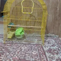 قفس پرنده بزرگ