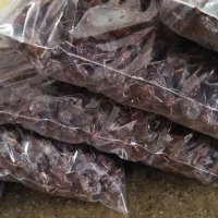 کشمش آفتابی دانه درشت امسالی|خوردنی و آشامیدنی|عجب شیر, |دیوار