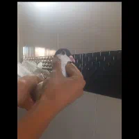 جفت خال عروسک شقه