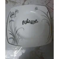ظروف چینی