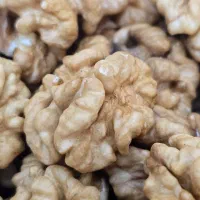 معز گردو درجه یک