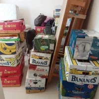 فروش کارتن موز|حراج|رودهن, |دیوار