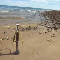 قلیان تنه چوب سرخ اصل از گرگان