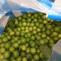 آلوچه شیرین