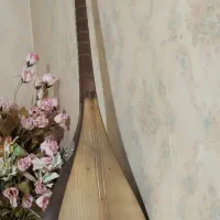 دوتارحرفه ای وخوش صدا|سازهای سنتی|اسفراین, |دیوار