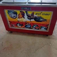 فریزر صندوقی چهاردرب