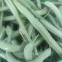 سبزی خورشتی لیلمانج ولوبیا سبز و فلفل